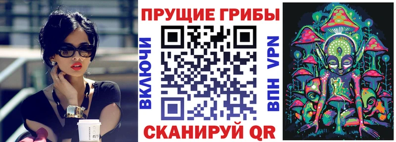 Псилоцибиновые грибы Cubensis  Купить закладки  Белово 